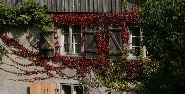 Herbstbild