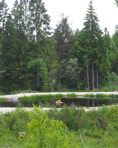 Fisch- und Badeweiher