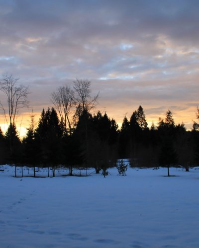 Panorama IV