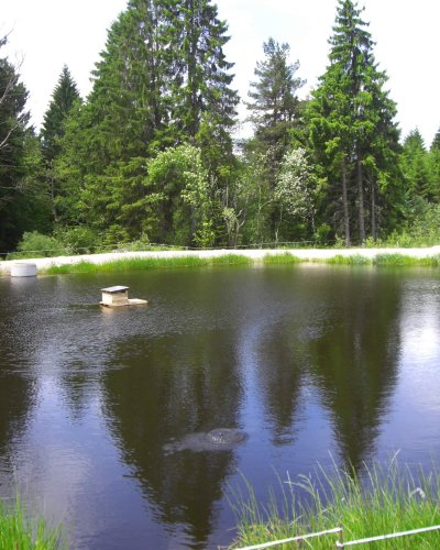 Weiher IIV