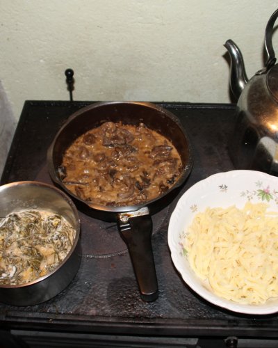 Pilze mit Weidenröschen