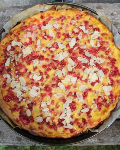 Johannesbeerkuchen