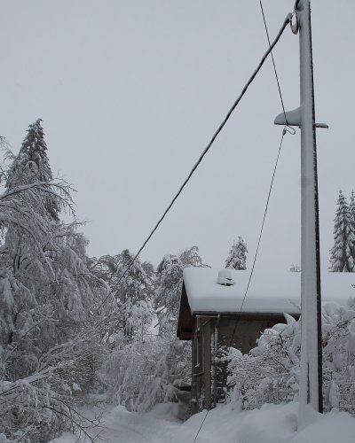 Leitungsschäden