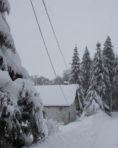 Leitungsschäden