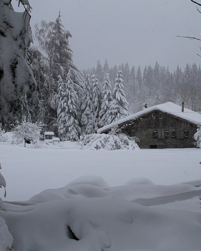 Winter 2015