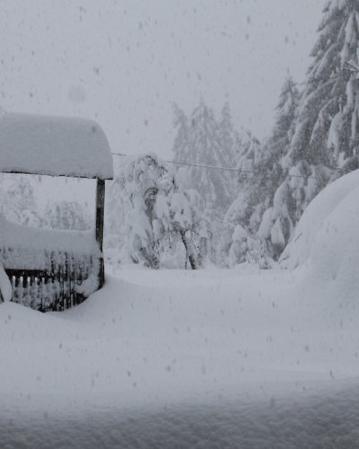 Winter 2015