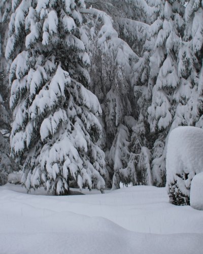 Winter 2015