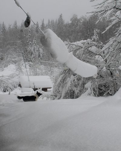 Winter 2015