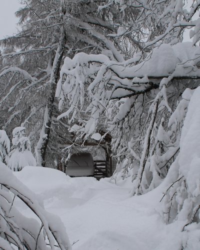 Winter 2015