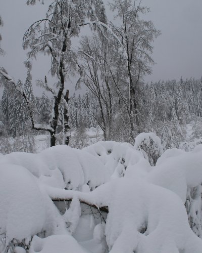 Winter 2015