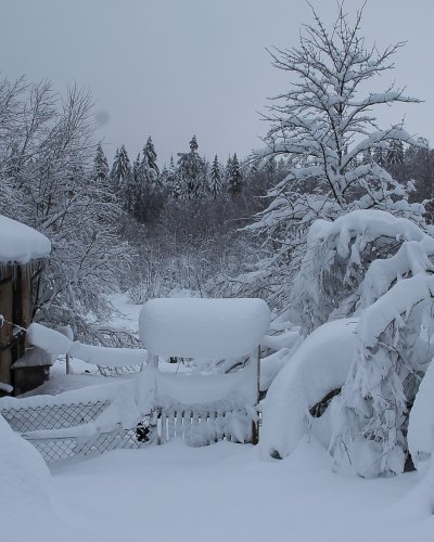 Winter 2016