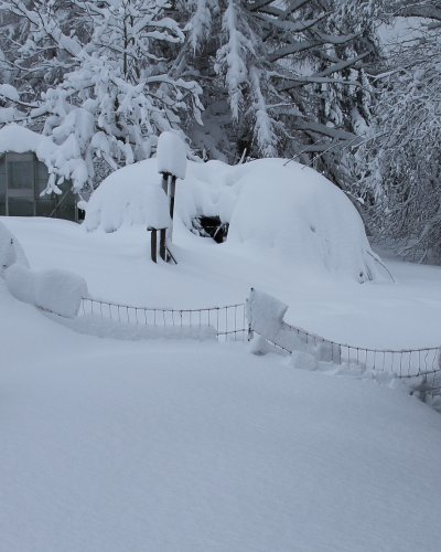 Winter 2015