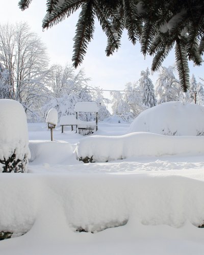 Winter 2015