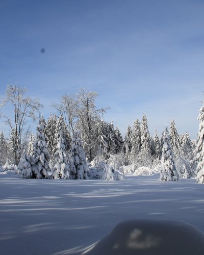 Winter 2015