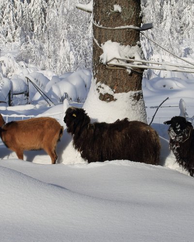 Winter 2015