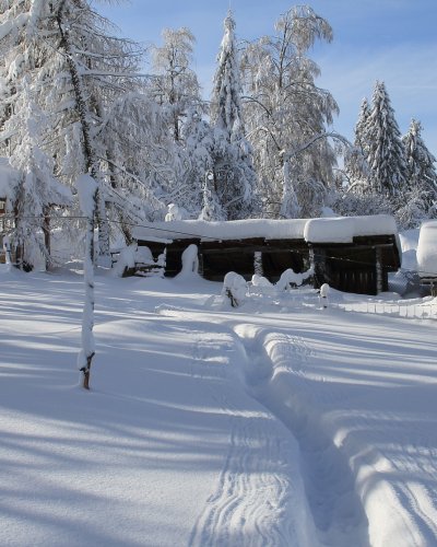 Winter 2015