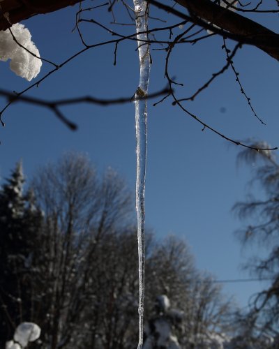 Winter 2015