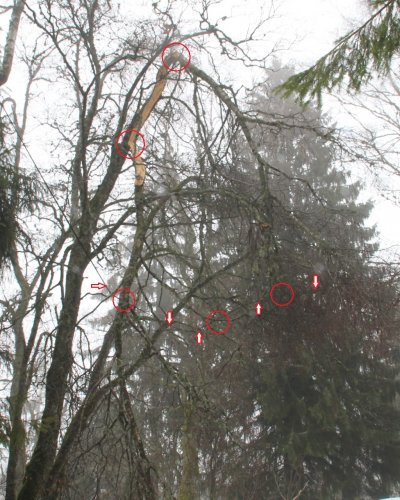 Telefonleitung