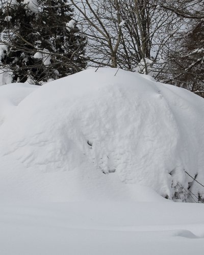 Schneeberberitze
