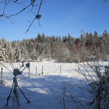 Blick nach Norden
